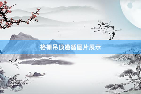 格栅吊顶遵循图片展示